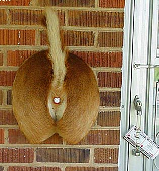 redneck_deer_butt_doorbell.jpg