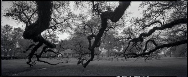 Luther Smith, Oak Alley, Louisiana, March 28, 1988