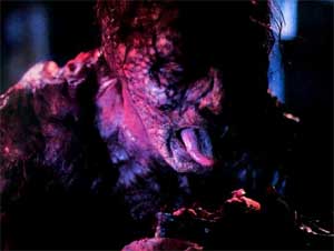 Image still from The Fly, 1986, directed by David Cronenberg.