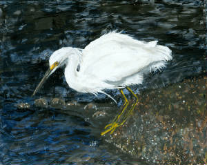 'Snowy Egret' (2011)