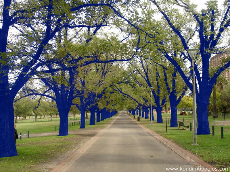 The Blue Trees, 2006, Melbourne Australia, Photo Courtesy of the Artist