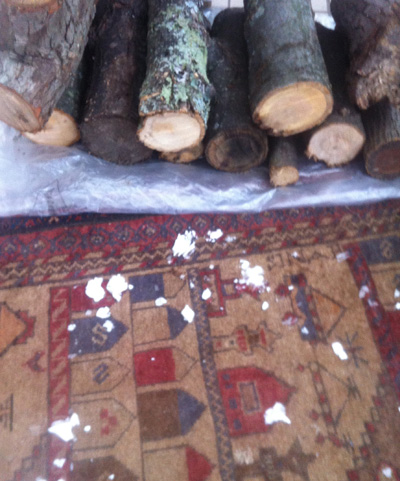 Logs and rugs in the mud room.