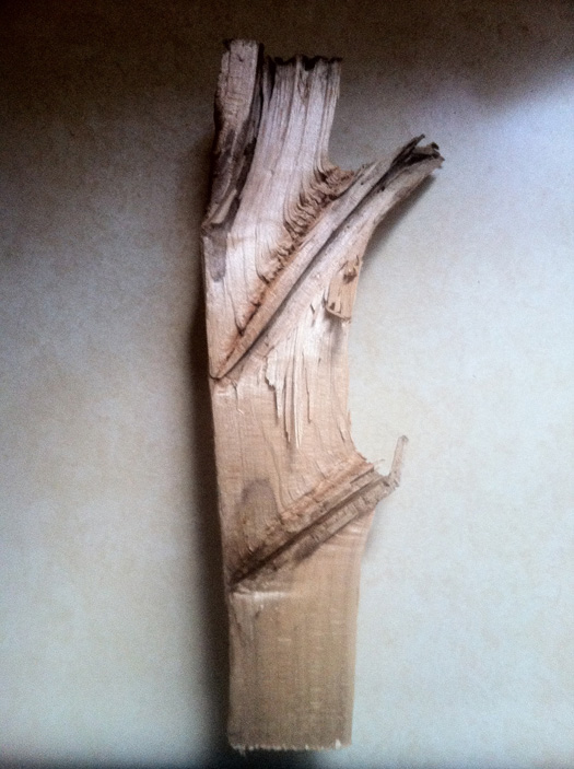 A gorgeous split piece of wood.