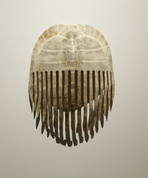 Comb, 2012, turtle shell, 8 1/2 x 6 1/2 x 3 inches