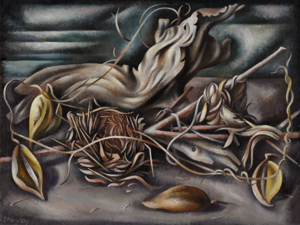 Loren Mozley, Driftwood, Birdsnests, and Milkweed Pods, 1943–44, Oil on canvas, Overall: 18 1/2 x 24 in., Private Collection, Dallas