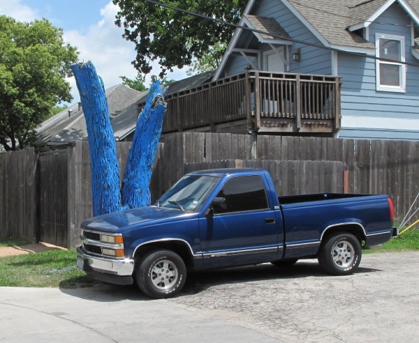 blue tree truck