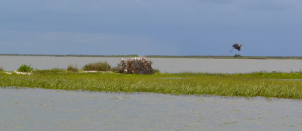 duck blind