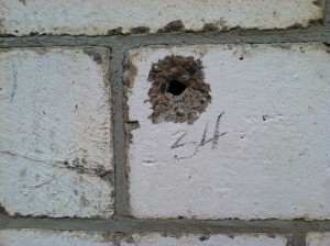 Margolles' Muro baleado Detail