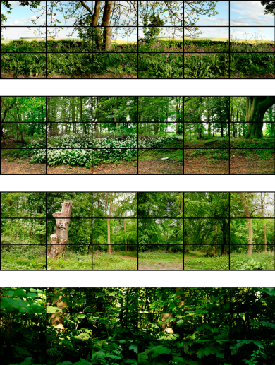  David Hockney, Seven Yorkshire Landscape Videos, 2011, eighteen digital videos synchronized and presented on eighteen 55” NEC screens to comprise a single artwork, 27 x 47 7/8 inches each, 81 x 287 inches overall, duration: 12 minutes, 9 seconds, Courtesy of the artist. From top to bottom: May 12th 2011 Rudston to Kilham Road 5pm, May 11th 2011 Woldgate Woods 1:45pm, May 11th 2011 Woldgate12:45pm, and May 25th 2011 Woldgate 8:45am. © David Hockney. All Rights Reserved.