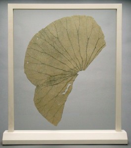 Gabriel Orozco (Mexican, 1962-  ), Lotus Leaves (two/thirds leaf variation mounted with vertical tilt). Etching on gampi mounted between UV resistant museum glass in wooden frames. Signed and numbered under base in pen. Lapis proof, 2 of 2. Courtesy of The Lapis Press