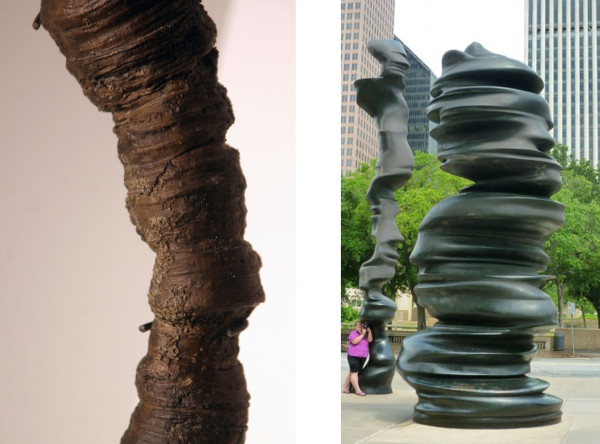 (l) Fossilized coral from the Devonian period, Switzerland (r) Tony Cragg, In Minds, 2001- 2002