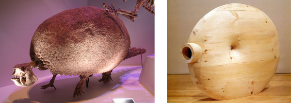 (l) Glyptodon, Pleistocene period (r) Martin Puryear, Deadeye, 2002