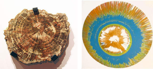 (l) Petrified Wood, Late Triassic, Apache County, Arizona (r) Damien Hirst, Untitled Spin Painting, 2001