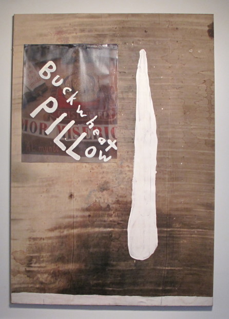 Buckwheat Pillow, 2005. Resin on stained tarp with printed canvas, 156 x 108"