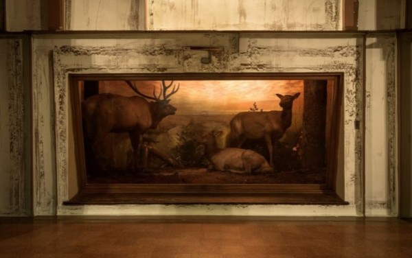 Carlos Bunga's installation "Ecosystem" won the 2013 Juried Prize. It had the perfect balance of wildlife and conceptual rigor.