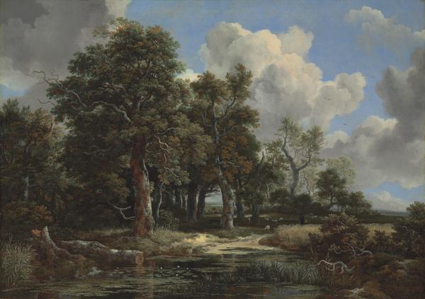 Jacob van Ruisdael Edge of a Forest with a Grainfield, c. 1656 Oil on canvas, 41 x 57 ½ in. (103.8 x 146.2 cm) Kimbell Art Museum, Fort Worth 
