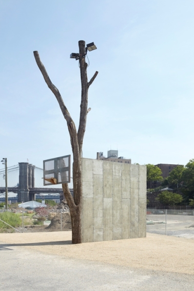Public Art Fund Talks at The New School. Between Art and Architecture: Oscar Tuazon Oscar Tuason, People, 2012. Sugar maple tree, concrete, metal basketball, backboard and hoop. Photographed by Jason Wyche