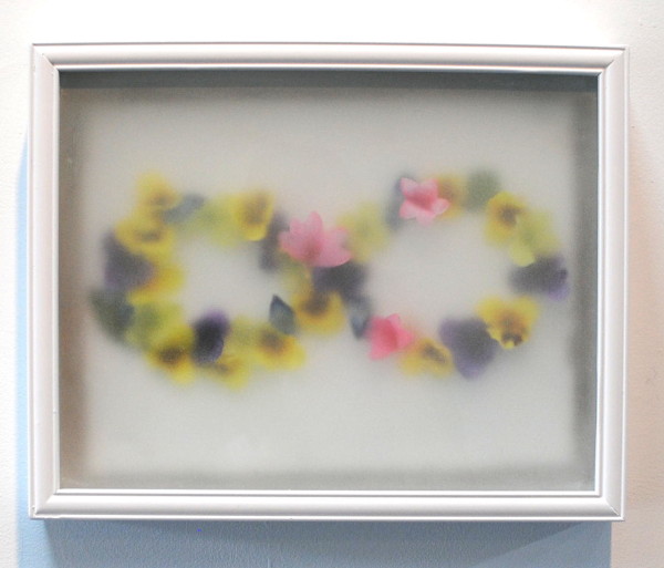 <em>Infinite Chapters</em> 2014, Frosted shadow box and faux flowers, 12 1/4" x 15"