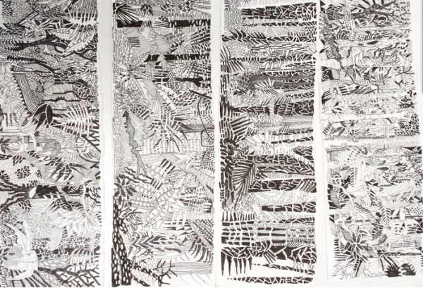 Drawings done in the rainforests of Costa Rica and Nicaragua