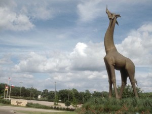 Giraffe-sculpture-at-Dallas-Zoo_151830
