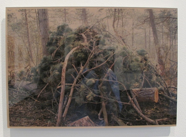 Mireille Schellhorn, <em>A Pile of Wood #12</em>, 2012 Color C-print, face mounted to colored Plexiglas, 12” x 16.5” (pardon the glare)