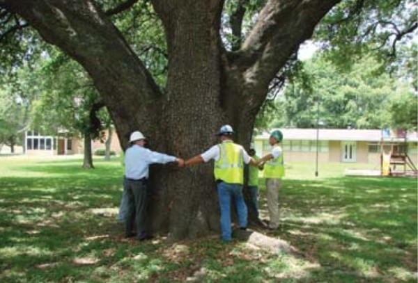 Workers from Embark Services, a MetroNational subsidiary, hugging a giant live oak in Spring Branch.