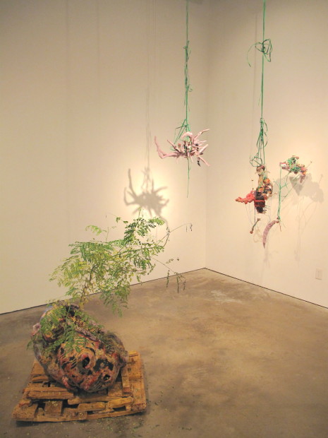 Untitled pod and hanging  assemblages, all untitled
