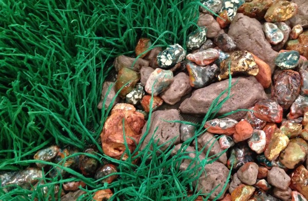 rocks and grass, detail