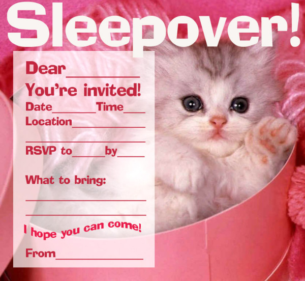 sleepover_cat