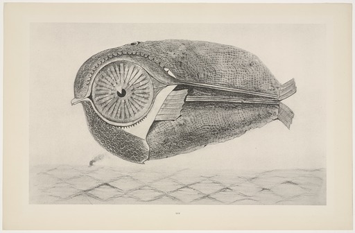 Max Ernst, L'évadé (The Fugitive), 1925. Collotype on paper from a 1925 black crayon frottage, with gouache on paper.