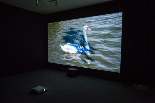 Trisha Baga, MS Orlando (still), 2015. Single-channel 3-D video projection, sound.
