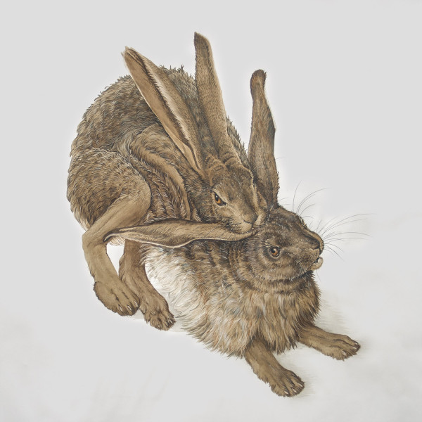 Hares-web