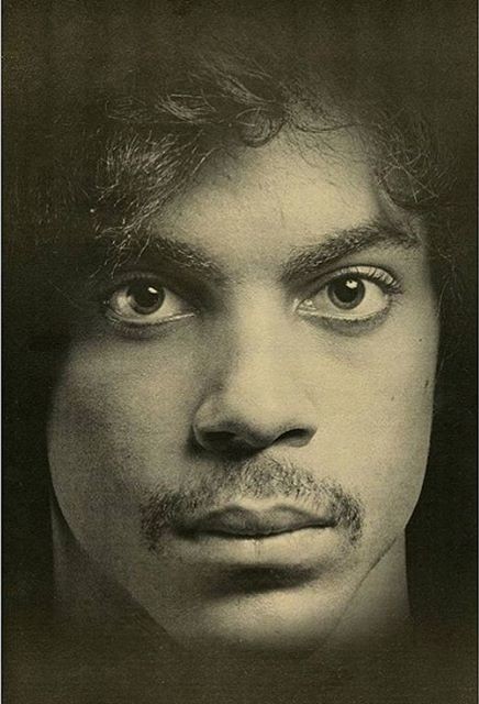Robert Mapplethorpe photographed Prince for Andy Warhol's Interview magazine in 1980. Photo: courtesy the New Museum, New York via artnet.com.