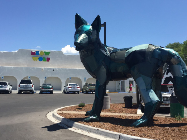 Meow-Wolf1
