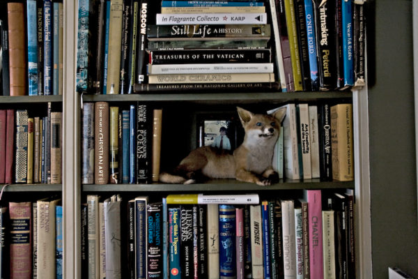 13-library-book-shelf
