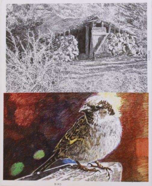 Birdhouse, Jim Malone, 27 x 23", Marker and graphite