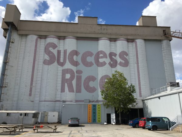 Success Rice
