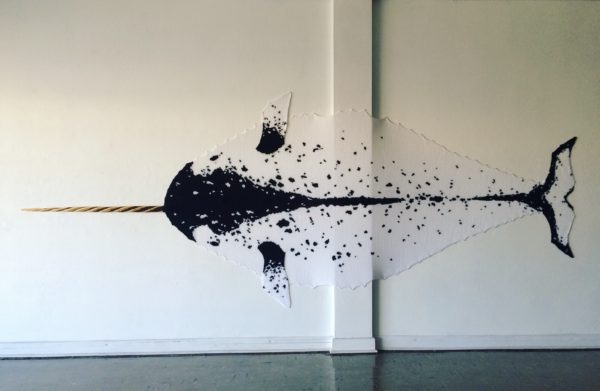 narwhal