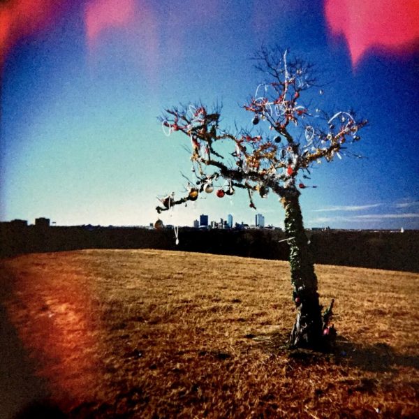 Lou Chapman, Memorial Tree Along I-30 Near Downtown, 2010, archival inkjet print from Holga camera negative, 26”x24”