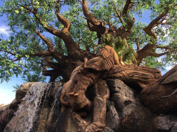 Disney animal kingdom