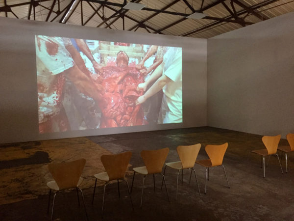 Nitsch: video still installation 