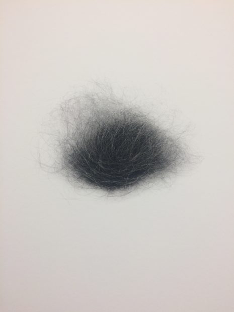 Erin Neve, Teogen Effluvium: Untitled, archival pigment print on matte, 2011. 