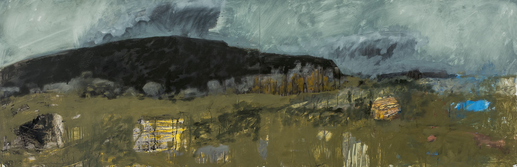 Fields at Mora, 2016, oil, ink and graphite on yupo, 26 x 80 inches