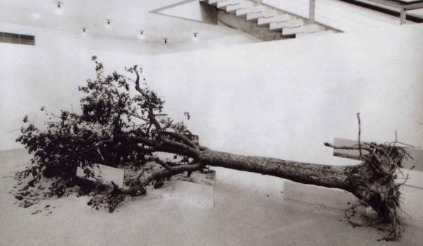 Robert Smithson's Dead Tree