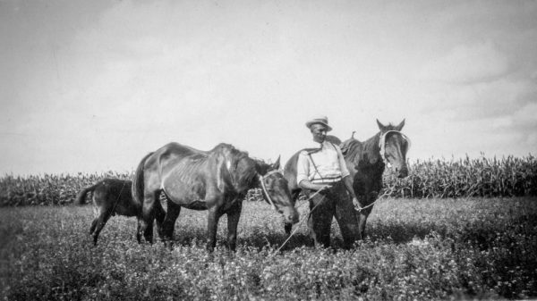 [Man with Horses]