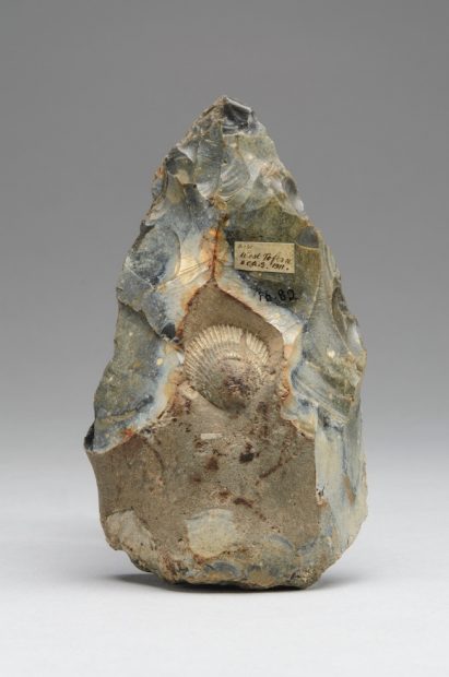 Handaxe knapped around a fossil shell, West Tofts, Norfolk, England Ca. 500,000-300,000 Flint Approx. 5 1/4 x 3 in. (13.3 x 7.6 cm) Museum of Archaeology and Anthropology, University of Cambridge