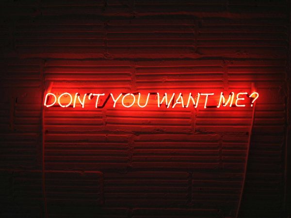 Steven Evans, Don’t You Want Me, 2013, Neon
