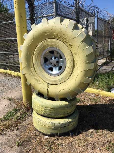 Painted tire