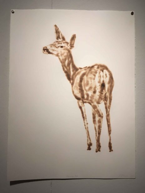 Turning Doe, 2017. Torch drawing on paper