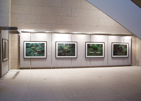 Eric Klemm Installation View Metamorphosis 2006 Feature Exhibition of FotoFest Houston at the Williams Tower Gallery